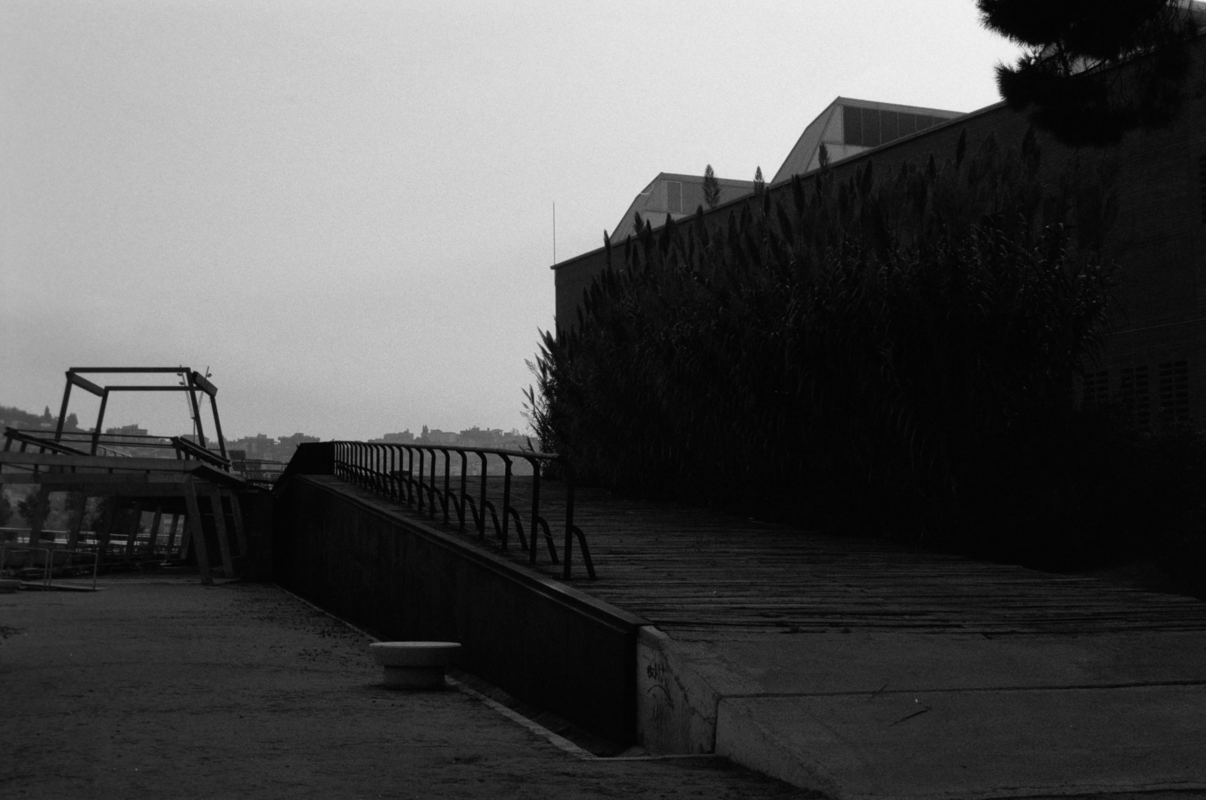 AHP F1995 10 003 sc240815 img33 NLP